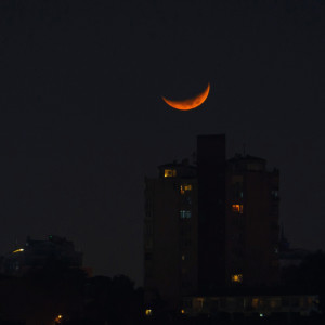 Phonedown的專輯how the evening holds us