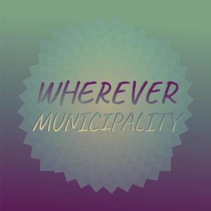 อัลบัม Wherever Municipality ศิลปิน Various