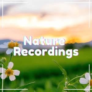 Nature Recordings的專輯Natural Sounds Mix