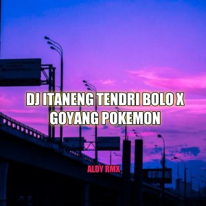 Album DJ ITANENG TENDRI BOLO X GOYANG POKEMON from ALDY RMX