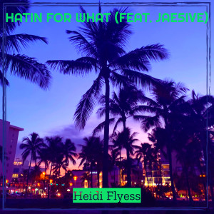 Listen to Hatin for What (Explicit) song with lyrics from Heidi Flyess