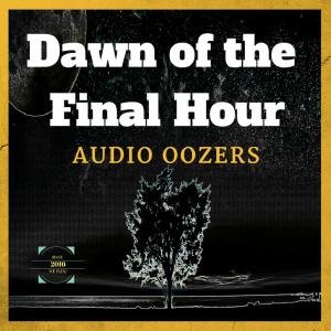 收聽Audio Oozers的Insane歌詞歌曲