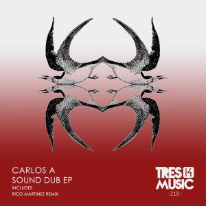 收聽Carlos Alfaro的SOUND DUB (Rico Martinez remix)歌詞歌曲