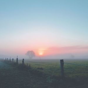 Listen to A Better Place song with lyrics from Some Place Else