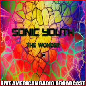 ดาวน์โหลดและฟังเพลง The Wonder (Live) พร้อมเนื้อเพลงจาก Sonic Youth
