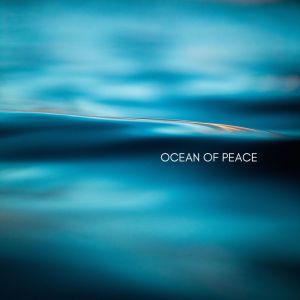 ดาวน์โหลดและฟังเพลง Bridging Body and Spirit พร้อมเนื้อเพลงจาก Healing Ocean Waves Zone