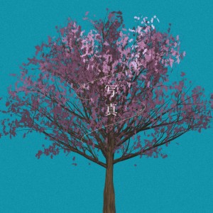 Listen to 写真 song with lyrics from 德廣しおん