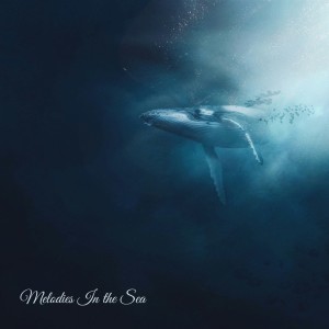 ดาวน์โหลดและฟังเพลง Melodies in the Sea พร้อมเนื้อเพลงจาก Oceanografers