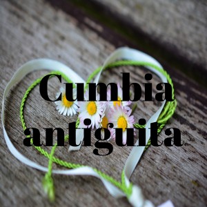 Listen to He plantado song with lyrics from Los Tigrillos
