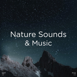 Dengarkan Nature Birds Chirping lagu dari Deep Sleep dengan lirik