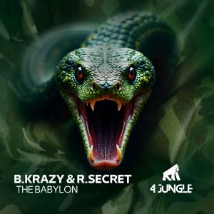 Album The Babylon from B. Krazy