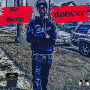 Listen to Flip (Explicit) song with lyrics from Robcee