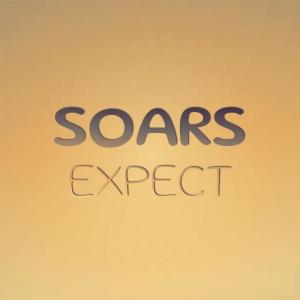 อัลบัม Soars Expect ศิลปิน Various