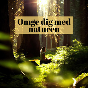 Album Omge dig med naturen (Grön oas för stilla meditation) from Naturliga Ljudterapi Masters