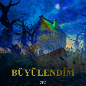Listen to Büyülendi̇m song with lyrics from Zeg