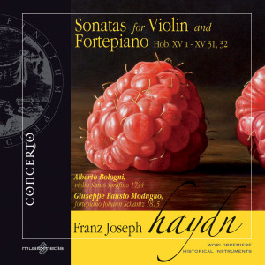 Listen to Violin Sonata in G Major, Hob.XV: 32: II. Allegro song with lyrics from Alberto Bologni