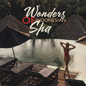 Album Wonders of Indonesian Spa (Relaxing Hangdrum for Bali Spa Experience) from Spa Healing Collection
