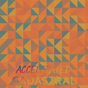 อัลบัม Accelerated Cadastral ศิลปิน Various Artists