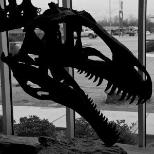 Dengarkan lagu French Seas nyanyian Antek dengan lirik