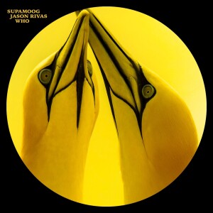 Listen to Who (Instrumental Mix) song with lyrics from Supamoog
