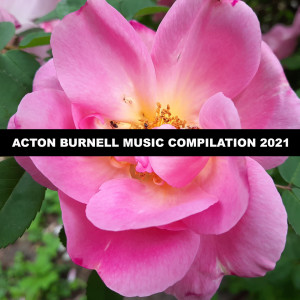 Various的专辑Acton Burnell Music Compilation 2021