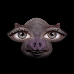 Sofia Isella的專輯Us and Pigs
