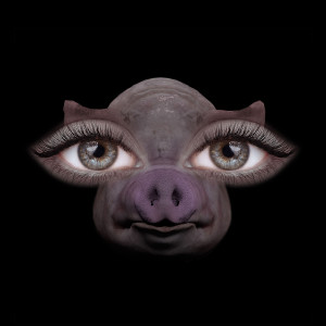 Listen to Us and Pigs song with lyrics from Sofia Isella