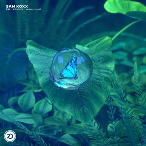 Album Fall Again from Sam Koxx