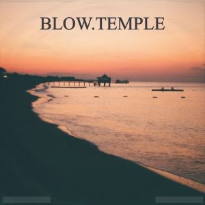 Blow.Temple的专辑Diving In Clothes