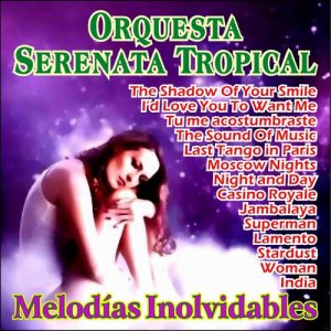 ดาวน์โหลดและฟังเพลง I'd Love You to Want Me พร้อมเนื้อเพลงจาก Orquesta Serenata Tropical