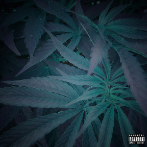 Listen to No Reason song with lyrics from Gangthelabel