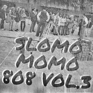 Listen to Butterfly Effect (feat. Chinchiller & Jennifer Hans) (Slomo808 Version) song with lyrics from Stylerwack
