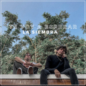 La Siembra的专辑Te Voy a Esperar