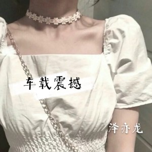 收聽澤亦龍的越南鼓 (抖音DJ熱播版)歌詞歌曲