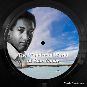 收聽Sam Cooke的Wonderful World歌詞歌曲