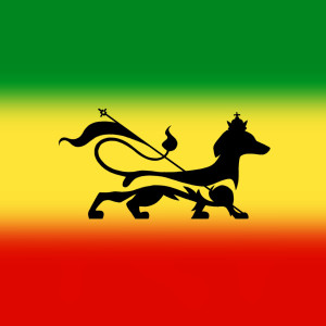 Dengarkan lagu Paraíso nyanyian Perro Salchicha dengan lirik