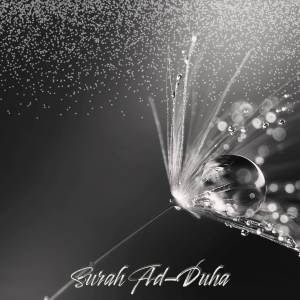 Album Surah Ad-Duha oleh Sheikh Maher Al Muaiqly