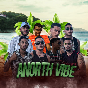 Various Artists的專輯Anorth Vibe (Explicit)