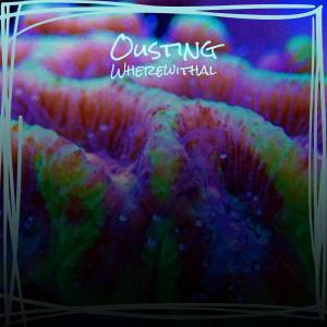 Listen to Past Whosesoever song with lyrics from Bryn Keter