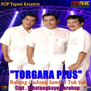 Album BULUNG GADUNG SAMBAL TUK TUK from TORGARA PLUS