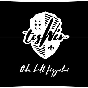 Listen to ODA KELL FIGYELNI song with lyrics from TESWÉR