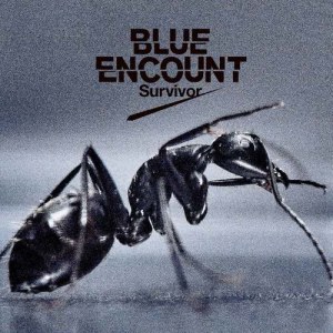 อัลบัม Survivor ศิลปิน BLUE ENCOUNT