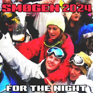 Listen to For The Night (Smøgen 2024) (Explicit) song with lyrics from Skippern