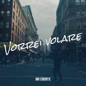 Album Vorrei volare from Mr Endryx