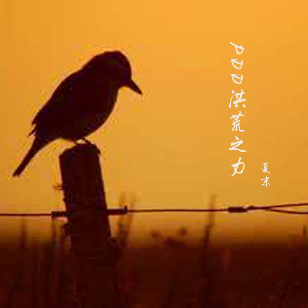 PDD洪荒之力 (伴奏)