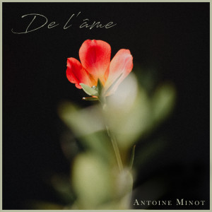 ดาวน์โหลดและฟังเพลง Parc Fermé พร้อมเนื้อเพลงจาก Antoine Minot