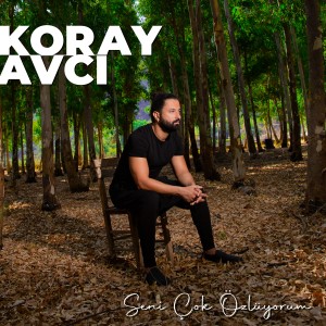 收聽Koray Avcı的Seni Çok Özlüyorum (Şiir)歌詞歌曲