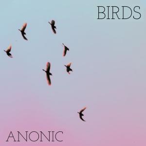 收聽Anonic的Birds歌詞歌曲