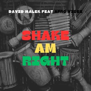 David Malek的專輯SHAKE AM RIGHT