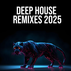 Album Deep House Remixes 2025 (Explicit) oleh Mister Mijaga